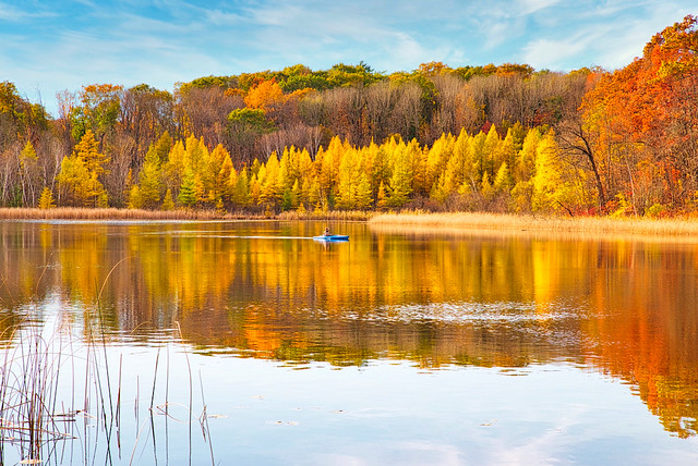 Fall Colors On A Wisconsin Lake