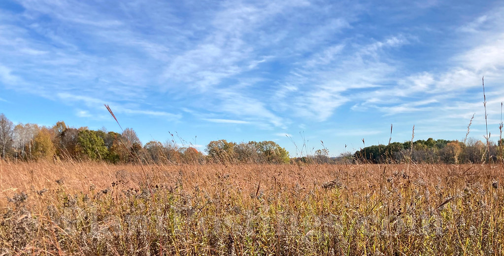 prairie midautumn