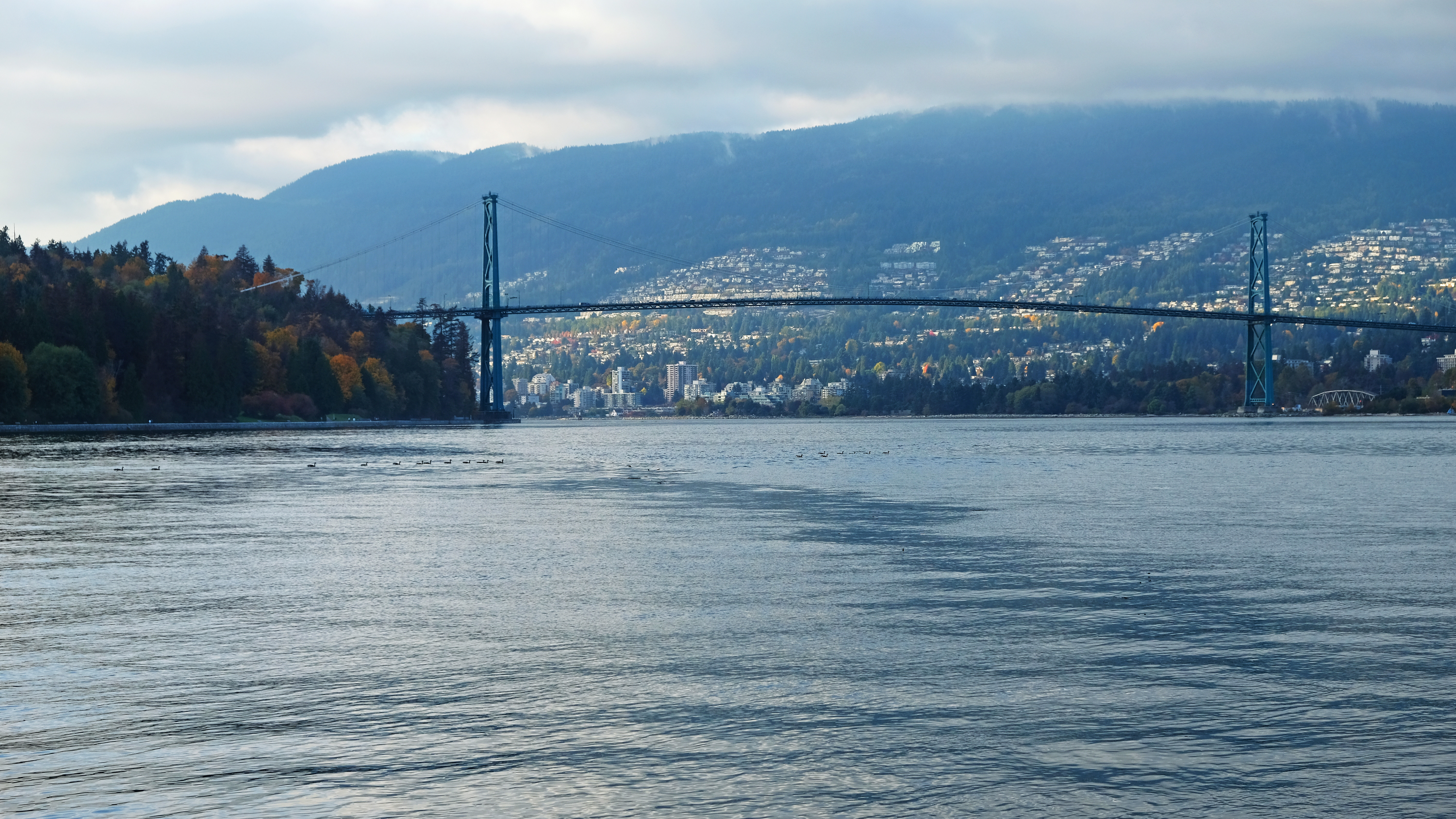 View of Lions Gate Bridge, Stanley Park, Vancouver, BC, Canada