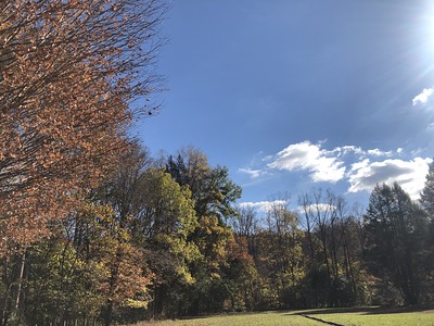 photo of park in Fall