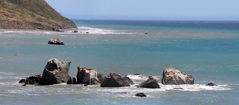 Seals and sea lions are basking in the sun on the offshore rocks at Sea Lion Gulch, from the Lost Coast Trail