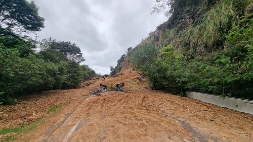 Te Henga Rd Slip (in quarry)