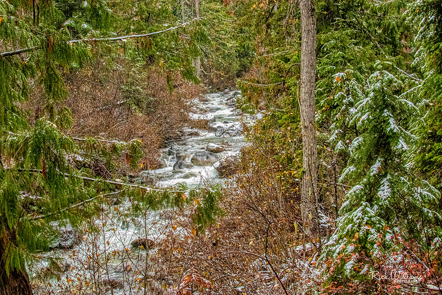 New Snow On The Creek