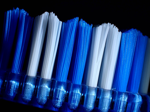Toothbrush blue white-sidelit | by Julie Camera Vause. NZ