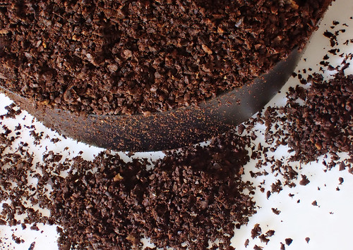 Coffee grounds in scoop | by Julie Camera Vause. NZ