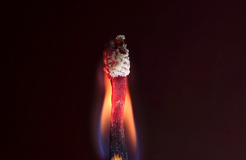 Match head lit down stick bright | by Julie Camera Vause. NZ