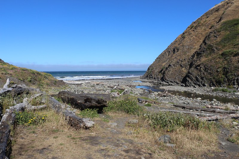 Looking out at the ocean and beach from the Cooskie Creek campground on the Lost Coast Trail - very nice spot!