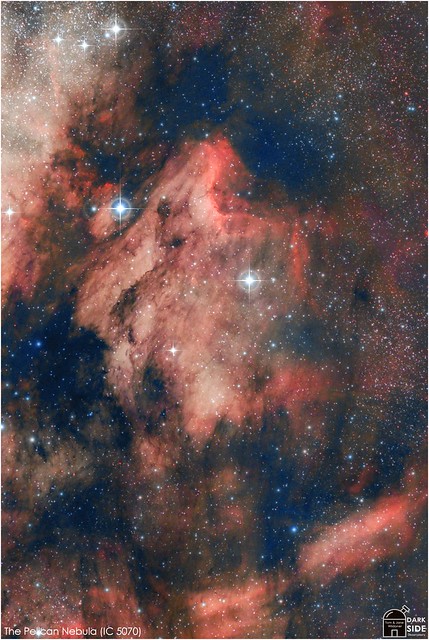 IC 5070 - The Pelican Nebula