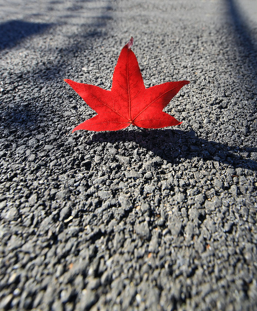 The dancing leaf