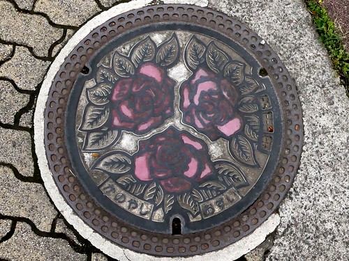 Kanoya Kagoshima, manhole cover （鹿児島県鹿屋市のマンホール）