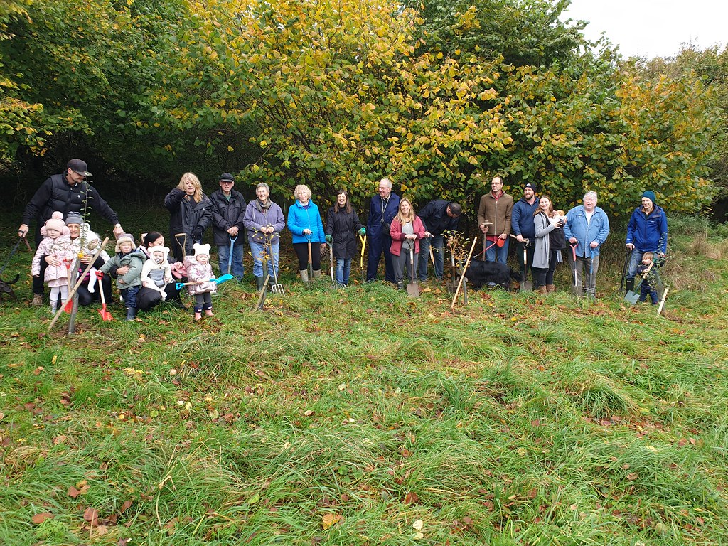 Planting more trees at the SSE wood