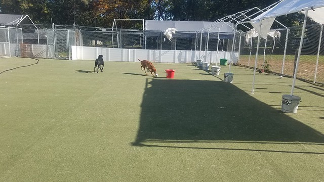 11-6-21 Soccer + Private Play! :)