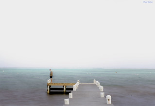 pier in cayman islands edward hopper | by Tony - Walton