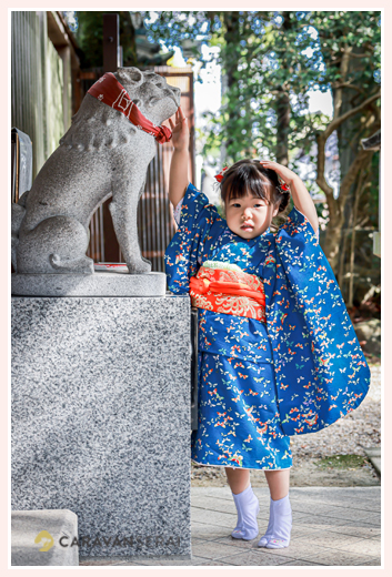 愛知県瀬戸市の深川神社の　なで狛犬