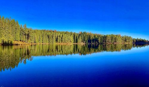 blue autumn lake reflection tree water norway forest landscape outdoor hike trondheim bymarka baklidammen nature