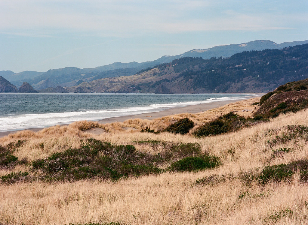 Oregon Coast [2013]