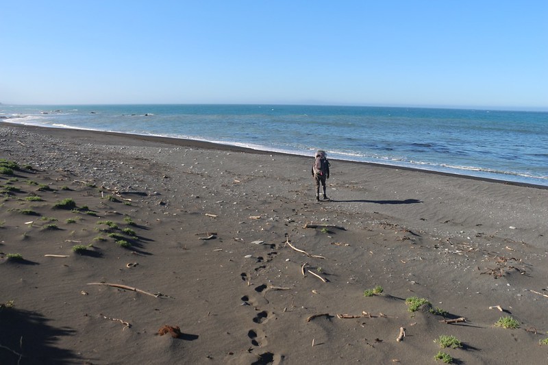 As we neared the private land, we headed back to the beach - yesterday's wind had filled in all the footprints