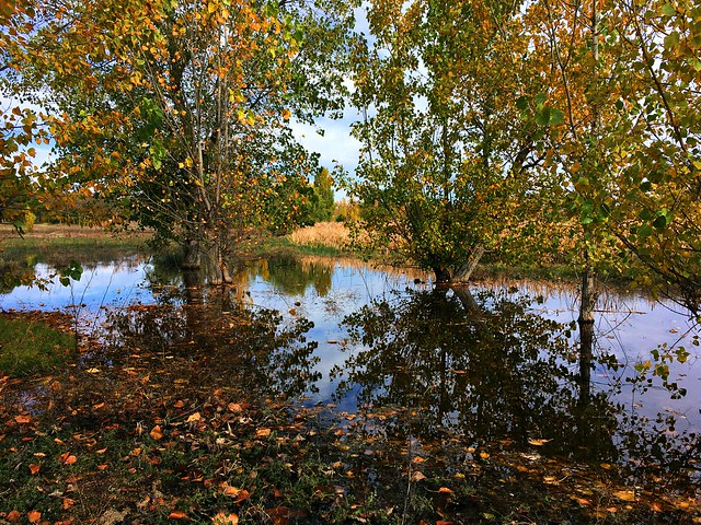 La laguna en otoño.