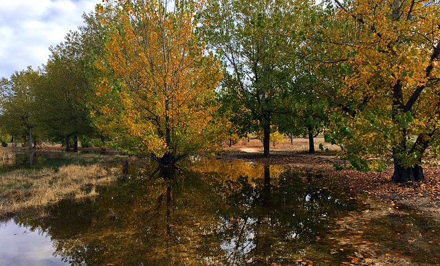 La laguna en otoño.