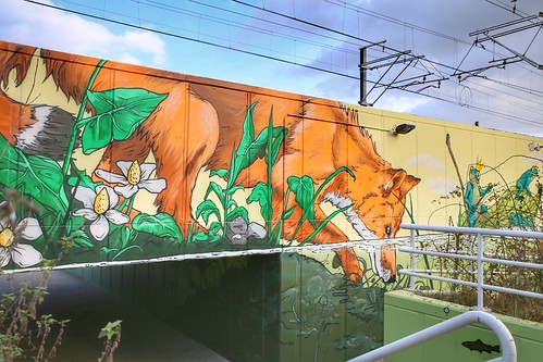 beautiful street art from Treepack @Abdij van Park Heverlee (Leuven)