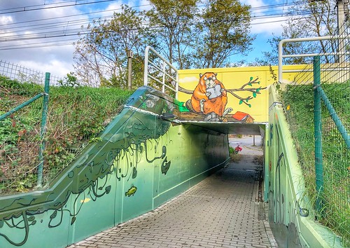 beautiful street art from Treepack @Abdij van Park Heverlee (Leuven)