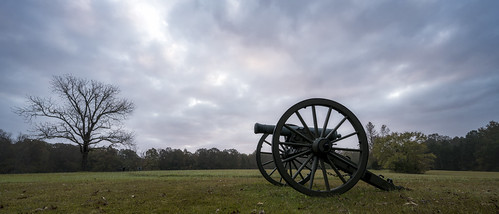 One of Polk's Guns
