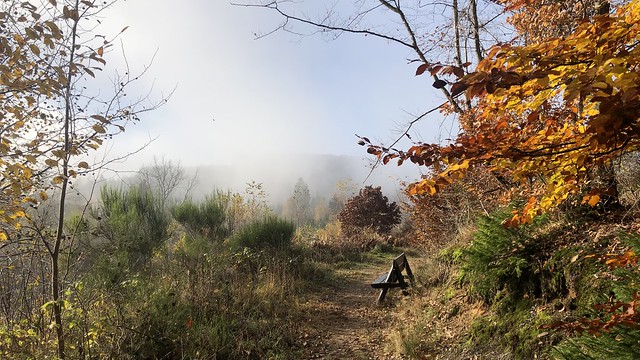 Le banc avec vue sur la vallée de l’Eisch/ brume matinale - Clairefontaine (B)