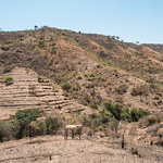 Drylands Kitui Drylands landscape near Kitui, Kitui County - Kenya.

Photo by Axel Fassio/CIFOR

&lt;a href=&quot;http://cifor.org&quot; rel=&quot;noreferrer nofollow&quot;&gt;cifor.org&lt;/a&gt;

&lt;a href=&quot;http://forestsnews.cifor.org&quot; rel=&quot;noreferrer nofollow&quot;&gt;forestsnews.cifor.org&lt;/a&gt;

If you use one of our photos, please credit it accordingly and let us know. You can reach us through our Flickr account or at: cifor-mediainfo@cgiar.org and m.edliadi@cgiar.org