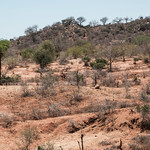 Drylands Kitui Drylands landscape near Endui, Kitui County - Kenya.

Photo by Axel Fassio/CIFOR

&lt;a href=&quot;http://cifor.org&quot; rel=&quot;noreferrer nofollow&quot;&gt;cifor.org&lt;/a&gt;

&lt;a href=&quot;http://forestsnews.cifor.org&quot; rel=&quot;noreferrer nofollow&quot;&gt;forestsnews.cifor.org&lt;/a&gt;

If you use one of our photos, please credit it accordingly and let us know. You can reach us through our Flickr account or at: cifor-mediainfo@cgiar.org and m.edliadi@cgiar.org