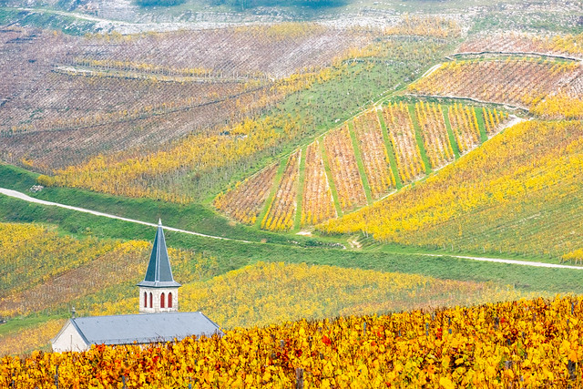 The little church in the vineyard