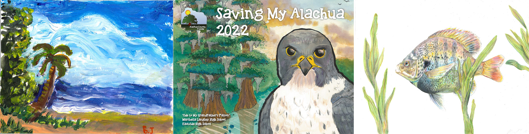 2022 Saving My Alachua Calendar