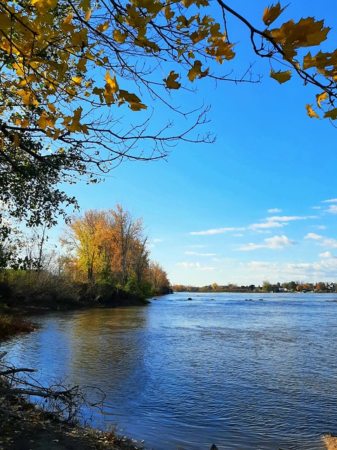 Riverbank in Fall