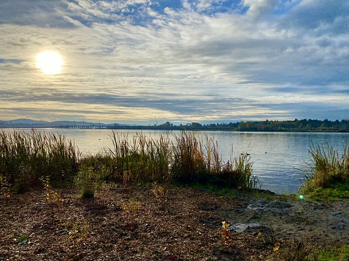 View of Lake Washington
