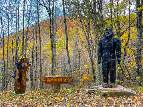 Autumn in the Smokies-8456 by kasiahalka, Great Smoky Mountain National Park, Cataloochee Valley; North Carolinaautumn cataloocheevalley covec