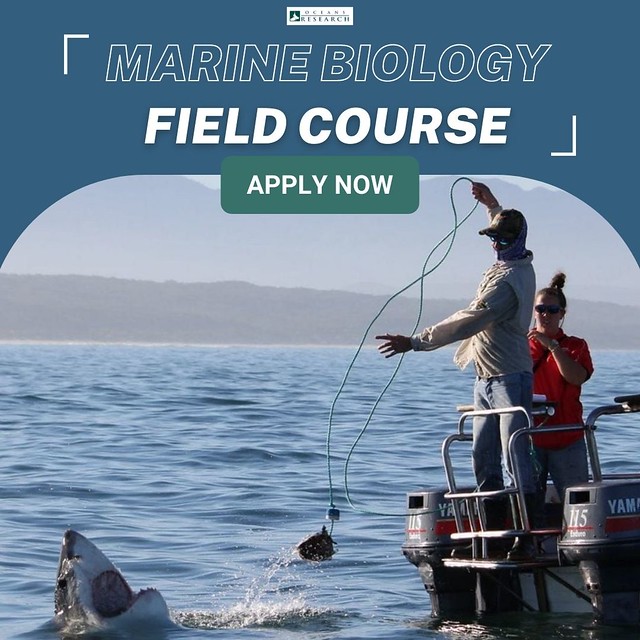 Marine Biology Field Course