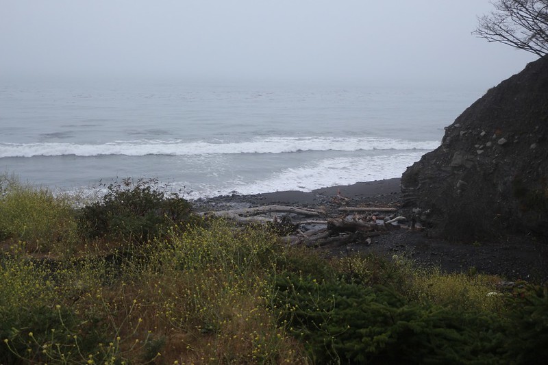 It dawned gray and foggy, in proper Lost Coast style, and it looked like the heat wave was broken, at Buck Creek