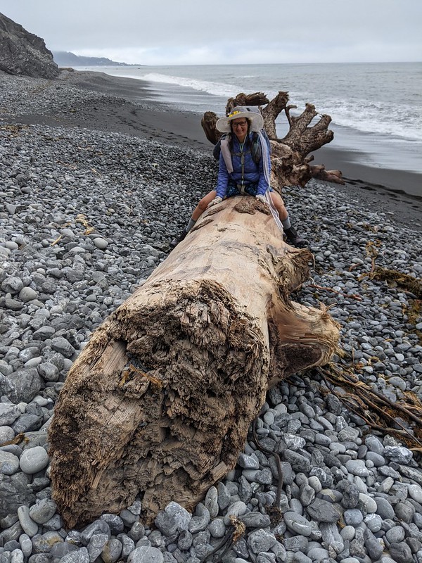 Vicki straddling a huge driftwood log on the stony beach in the Tidal Flat on the Lost Coast Trail