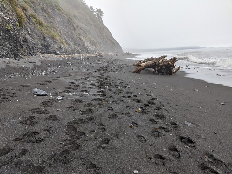 There were lots of footprints on the beach near Buck Creek, of people trying to get past this high-tide-impassable zone