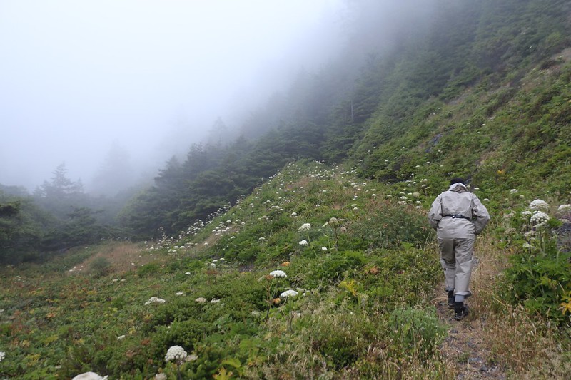 Foggy marine layer clouds on the Lost Coast as we climb into the forest above the Buck Creek campground