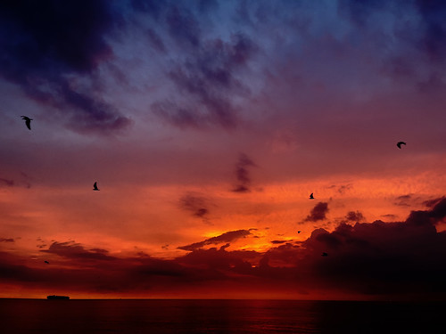 sunrise miami florida southbeach best clouds color atlantic ocean 2021 202110 20211028 phonepix img3294 iphone orange water beach boat bird sky skyscape outdoors photography travel sun sunshine