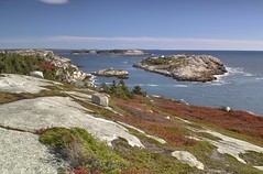 Polly's Cove