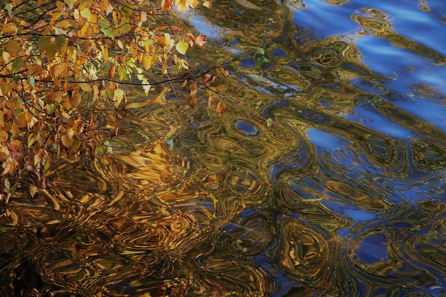 Herbstwasser / Autumn - Water