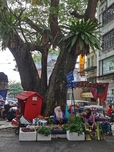 Market Vendor Underneath a Tree