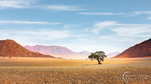 The Lone Tree, Namibia