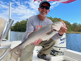 Photo of man on a boat holding a large striped bass