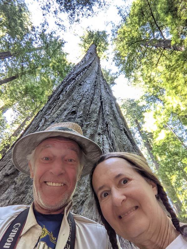 It was still early, so we drove north on Highway 101 and visited the Founders Tree in Humboldt Redwoods State Park