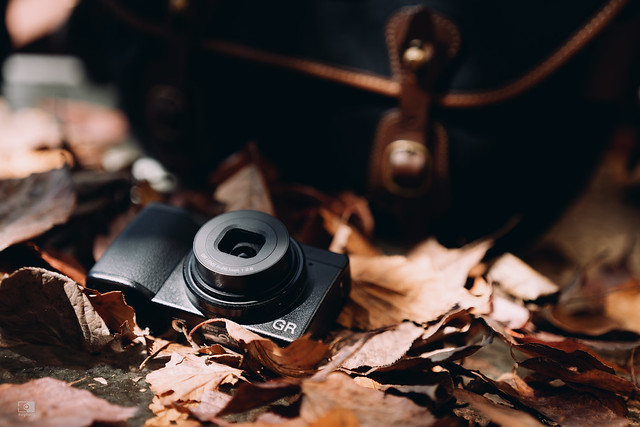 Ricoh GR IIIx - Ricoh GR3x Review | 38