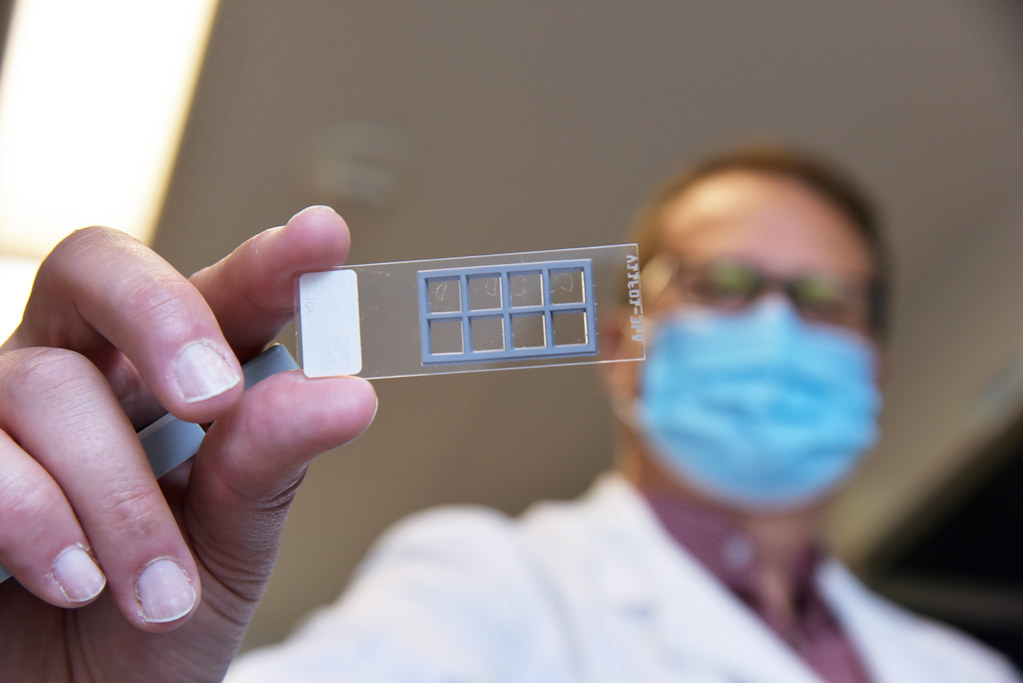 Nathan Bivens, director of the Genomics Technology Core at Bond Life Sciences Center, holds a special slide that assigns barcodes to expressed genes on different places on the tissue. This helps Bivens know where certain gene expressions came from on the tissue.