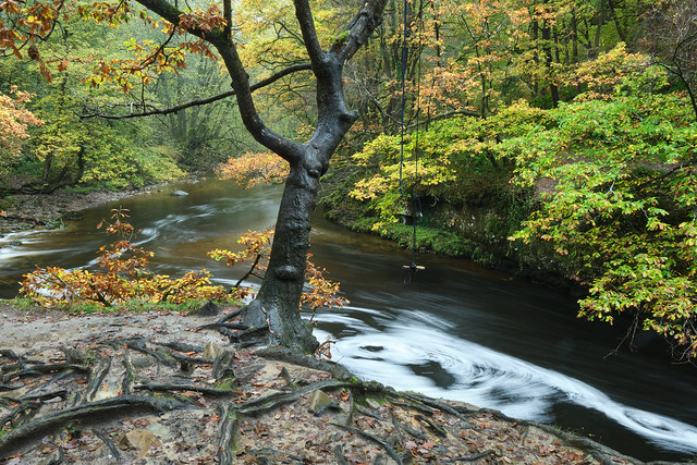 Autumn River (Explore)