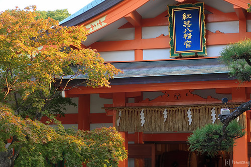 Momoji Hamchimangu Shrine